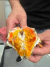 【活蟹】蓮花蟹農大閘蟹鮮活2.0-2.3兩8只全母螃蟹鮮活去繩足重現貨去繩足重源頭直發(fā) 曬單實(shí)拍圖