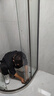 東鵬（DONGPENG）淋浴房浴室隔斷弧形一體家用淋浴隔斷干濕分離衛生間隔斷玻璃浴屏 900*900*2000 槍灰 不銹鋼 304不銹鋼邊框+帶中柱 才耐用 曬單實(shí)拍圖