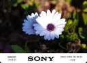 索尼（SONY）Alpha 7C 全画幅微单相机 轻便小巧简易操控实时眼部对焦 银色 （A7c/a7c/a7c） 实拍图