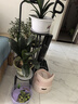 蝸家花架落地式家用時(shí)尚鐵藝室內花盆架客廳陽(yáng)臺多層綠蘿置物架多肉架 曬單實(shí)拍圖