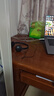 羅技（Logitech）H340有線耳機(jī)耳麥USB接口 頭戴式耳機(jī)降噪麥克風(fēng) 視頻會(huì)議培訓(xùn)辦公網(wǎng)課話務(wù)電腦耳機(jī)麥克風(fēng)二合一 曬單實(shí)拍圖