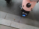 SKIG汽車摩托電動車防追尾太陽能爆閃警示燈免接線示寬led夜間后尾燈 太陽能紅藍爆閃燈【全面升級】1個裝 【雙面膠或螺絲固定】 曬單實拍圖