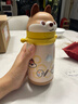 babycare兒童保溫杯嬰兒小松鼠寶寶1-3歲不銹鋼吸管水杯壺學(xué)生上學(xué)450ml 曬單實(shí)拍圖