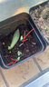 花管工多肉種籽子生石花多肉植物混合四季種植易活室內外陽(yáng)臺盆栽花種子 混合500粒+肥料 曬單實(shí)拍圖