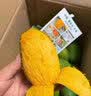 甘賢正宗椰香雞蛋芒果【順豐鎖鮮-可送到家】當季新鮮芒果現摘禮盒裝 單果100-250克 8斤禮盒裝 曬單實拍圖