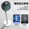 格力（GREE）【香薰?jié)M屋】空氣循環(huán)扇臺地兩用電風(fēng)扇落地扇循環(huán)左右搖頭輕噪對流香薰驅(qū)蚊循環(huán)扇 FXD-1903g3 曬單實拍圖