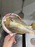 閘坡船鮮曬金線(xiàn)魚(yú)海魚(yú)陽(yáng)江一夜埕咸魚(yú)干海魚(yú)干紅三魚(yú)紅杉魚(yú)紅哥里刀鯉魚(yú) 一夜埕金線(xiàn)魚(yú)干  250g 曬單實(shí)拍圖