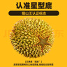 什果樂(lè )貓山王榴蓮（D197）馬來(lái)西亞進(jìn)口帶殼整果液氮冷凍水果禮盒 優(yōu)選果凈重2.5-3.0斤（包4房） 曬單實(shí)拍圖