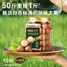 百草味本味甄果高端夏威夷果500g 每日堅果休閑零食干果罐裝團購送禮 曬單實(shí)拍圖