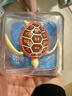 【顏色隨機】樂(lè )波小魚(yú)三代+水陸兩棲海龜 曬單實(shí)拍圖