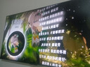 東芝電視65Z500QF 65英寸 Mini LED控光 144Hz 3+128GB 火箭炮音響 4K超清 以舊換新家電國家補貼 曬單實(shí)拍圖