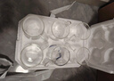 青蘋(píng)果耐熱玻璃杯6只裝 高硼硅玻璃可加熱圍爐煮茶帶把水杯泡茶杯牛奶杯 曬單實(shí)拍圖