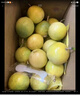 廣西欽蜜9號黃金百香果萬(wàn)澄當季新鮮大果黃皮果奶茶店水果 【大果5斤】約27-35個(gè)單果60-70g 曬單實(shí)拍圖