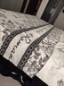 瑞姿萱新款A類(lèi)法式花邊柔軟親膚四件套家用宿舍床上四季通用款床裙被套 JA-愛(ài)麗莎 四件套：1.8米 床裙款 （被套200*230cm） 曬單實(shí)拍圖