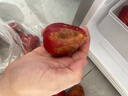 哆莫香海南黑金剛蓮霧果新鮮熱帶水果禮盒樹(shù)上熟一級蓮霧果節日禮盒裝 甄選A級果2斤【精美禮盒】 曬單實(shí)拍圖