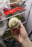 寶菜玉米新鮮黃甜玉米25年帶皮水果玉米棒低脂減肥早餐 整箱包郵 凈重3.4-3.7斤（約3-5根） 曬單實(shí)拍圖