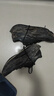 361°運(yùn)動鞋男鞋飛燃3碳板競速馬拉松訓(xùn)練比賽跑步鞋子男672412207-33 曬單實(shí)拍圖