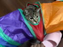 HOUYA猫隧道加长款可折叠宠物用品通道钻洞猫玩具自嗨解闷 实拍图