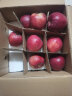 馋半仙甘肃天水产地花牛粉面苹果 新鲜水果好礼粉粉面苹果 带箱5斤10-12枚（70-75mm果） 实拍图