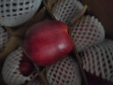 2025年現摘甘肅天水花牛蘋(píng)果整箱當季新鮮紅蛇果粉面寶寶輔食A15 帶箱5斤  果徑65-70mm 曬單實(shí)拍圖