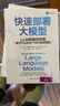 快速部署大模型：LLM策略與實(shí)踐deepseek教程 曬單實(shí)拍圖