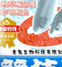 老鬼（OLDGHOST）魚餌大師冰鮮南極磷蝦餌競技黑坑野釣鯽鯉草鳊餌料可搓可拉400g 曬單實拍圖