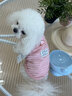 嬉皮狗（hipidog）春夏季寵物兩腳透氣輕薄鏤空條紋小熊牽引狗狗背心貓咪比熊狗衣服 奧利粉小熊（可牽引） S 體重3-5斤 曬單實(shí)拍圖