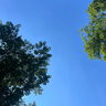 范思藍恩復古英倫風(fēng)黑灰格子西裝外套女秋冬2024新款14389 黑灰格 L 曬單實(shí)拍圖