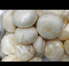 壹萌果蔬口蘑新鮮【順豐冷鏈】雙孢菇鮮菌菇白蘑菇菌菇口菇 【精選AA+級】1000g 曬單實(shí)拍圖