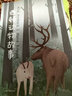 中文分級閱讀K5  西頓動物故事（“動物小說之父”西頓代表作，讓孩子們更真切了解自然界的動物們） 曬單實拍圖