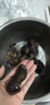 星河灣北極紅參進(jìn)口即食海參野生紅極參海鮮水產(chǎn) 3袋裝 曬單實(shí)拍圖
