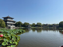 Columbia哥倫比亞戶(hù)外男子金點(diǎn)拒水鵝絨700蓬羽絨背心馬甲WE4939 010 黑色 L (180/100A) 曬單實(shí)拍圖