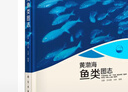 現代海洋科學(xué)·從近海到深海：黃渤海魚(yú)類(lèi)圖志 曬單實(shí)拍圖