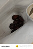 京地達 印尼蛇皮果 凈重1.8斤 單果50g+ 生鮮水果 源頭直發(fā)包郵 曬單實(shí)拍圖