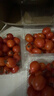 基地直發(fā)新鮮當季圣女果小番茄 3斤 曬單實(shí)拍圖
