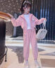 G.DUCKKIDS女童春秋季套裝2025新品女孩洋氣運動(dòng)連帽開(kāi)衫兒童韓版寶寶兩件套 粉紅色 130 cm 曬單實(shí)拍圖