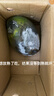 三亞芒果  海南芒果新鮮水果生鮮整箱當季大青皮芒 熱帶孕婦芒果 5斤裝(凈果4.5斤)單果201克+ 曬單實(shí)拍圖