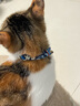 歡寵網(wǎng)貓項圈貓咪鈴鐺狗狗寵物驅蟲(chóng)除蚤圈除防跳蚤虱子頸脖圈用品 藍色 曬單實(shí)拍圖