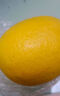 有機檸檬水果黃檸檬新鮮配送農場(chǎng)直發(fā)榨汁水果不打蠟產(chǎn)地直銷(xiāo) 2500g有機黃檸檬（四川農場(chǎng)-今年新果） 曬單實(shí)拍圖