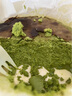 竹壽屋無(wú)蔗糖白玉抹茶巴斯克芝士蛋糕低甜度生日蛋糕零食甜品清苦濃郁 曬單實(shí)拍圖