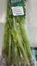 高山芹菜苗200g 曬單實(shí)拍圖