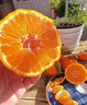 寄春（JICHUN）四川丑橘  不知火丑八怪橘子丑哭耙粑柑桔子當季送禮新鮮水果 精選大果10斤 曬單實(shí)拍圖