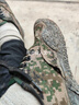 野狼途步迷彩鞋男軍訓鞋耐磨防滑解放鞋勞保鞋戶(hù)外黃球鞋棉鞋工地膠鞋訓練 迷彩膠鞋 41 曬單實(shí)拍圖