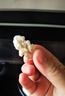 京覓新疆去皮鮮核桃仁獨立小包裝【25包】500g 源頭直發(fā) 曬單實(shí)拍圖
