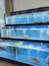 小石頭水族館移動(dòng)海鮮魚缸飯店酒店超市商用海鮮池水產(chǎn)賣魚貝類池制冷機(jī)一體 咨詢客服尺寸配置 基礎(chǔ)款-氧氣燈光水循環(huán)過濾-無制冷 曬單實(shí)拍圖
