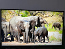 華碩ROG 絕神27 XG27UCG 27英寸顯示器電競(jìng)4K 160Hz雙模1K 320Hz HDR400 G-sync兼容Type-C HDMI2.1 曬單實(shí)拍圖