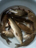 川澤強硬鋒袖鉤子線(xiàn)雙鉤成品綁好全套防纏繞魚(yú)鉤黑坑競技鉤鯽魚(yú)綠袖鉤 25cm短子線(xiàn)【鉤4號+線(xiàn)0.6號】 有刺鋒袖20付/盒 曬單實(shí)拍圖