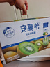 伊利安慕希修文獼猴桃奶昔風(fēng)味酸奶230g*10瓶/箱 禮盒裝 曬單實(shí)拍圖