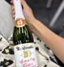 瑪蒂天尼（MARTINELLI‘S）蘋(píng)果石榴汁氣泡水750ml香檳無(wú)酒精聚餐美國原裝進(jìn)口送禮綿密 曬單實(shí)拍圖
