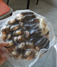 天海藏金湯佛跳墻240g*6罐 加熱即食海參鮑魚送禮大盆菜預(yù)制菜自營 曬單實拍圖